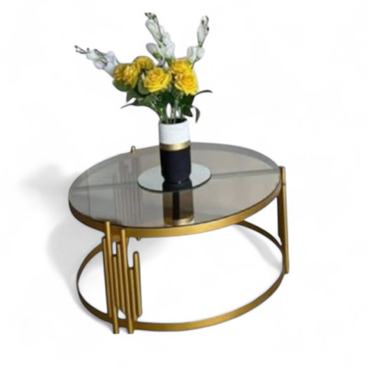 Mesa de Centro de Lujo 13
