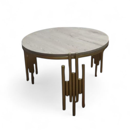 Mesa de Centro de Lujo 24